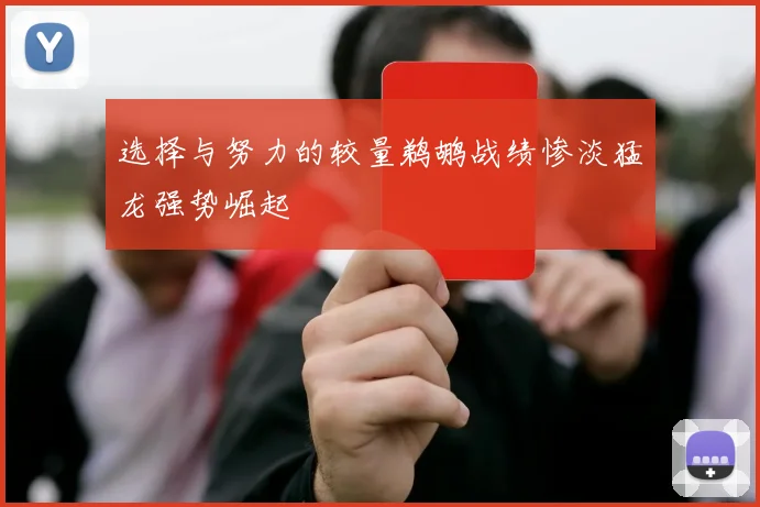 选择与努力的较量鹈鹕战绩惨淡猛龙强势崛起