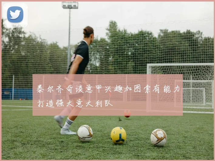 泰尔齐奇谈意甲兴趣加图索有能力打造强大意大利队