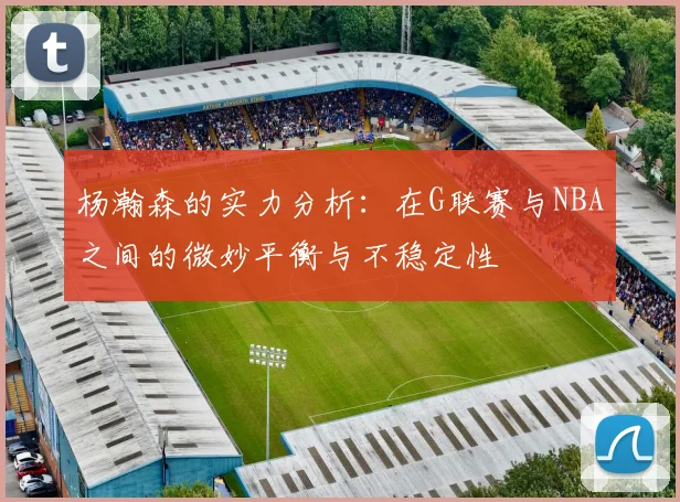 杨瀚森的实力分析：在G联赛与NBA之间的微妙平衡与不稳定性