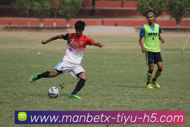 万博体育平台生态图