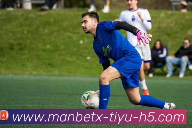 万博体育APP 封面图